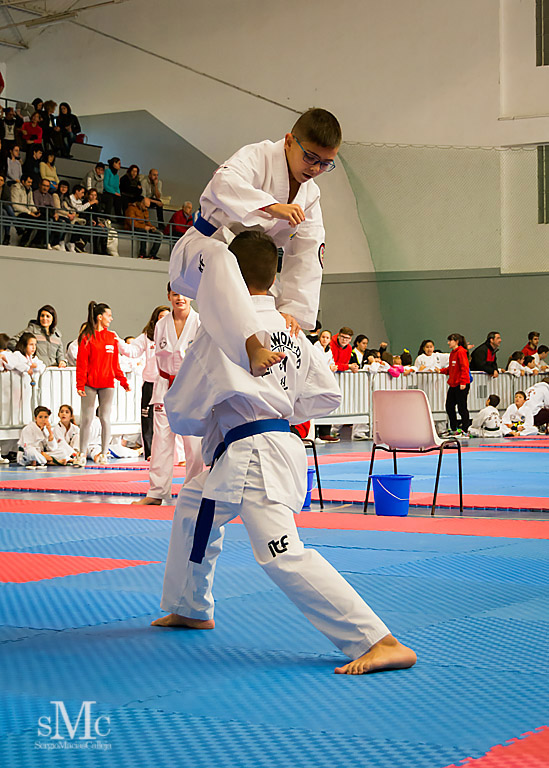 COPA SEUL, 2017  (4).JPG
